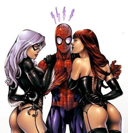 Felicia Cat Sex Cartoon Anal - Fan Fiction Friday: Spider-man in \